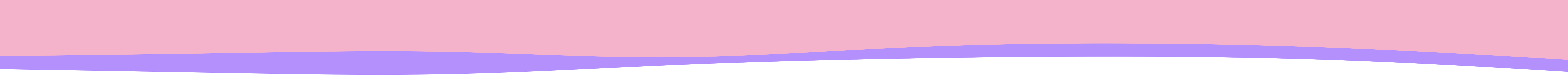 Section Divider