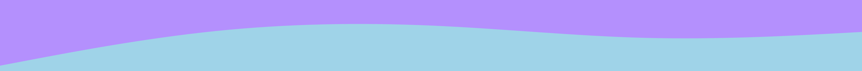 Section Divider