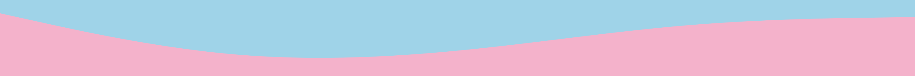 Section Divider